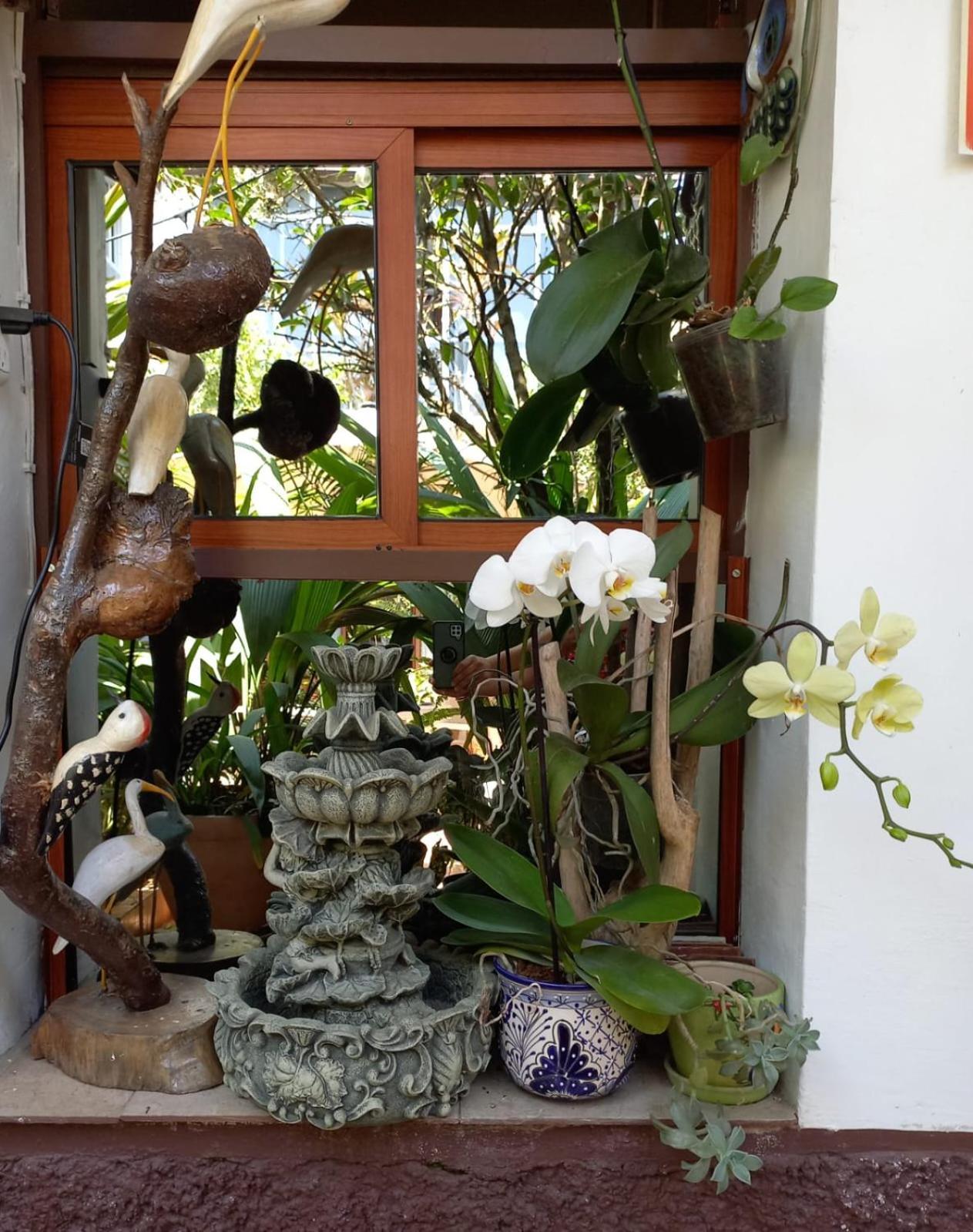 Posada Galeria Alberto Sedas Huatusco Extérieur photo