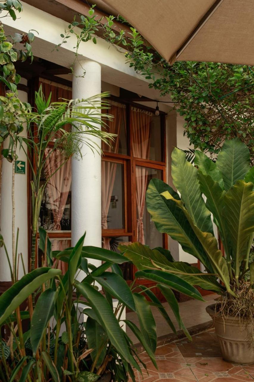 Posada Galeria Alberto Sedas Huatusco Extérieur photo