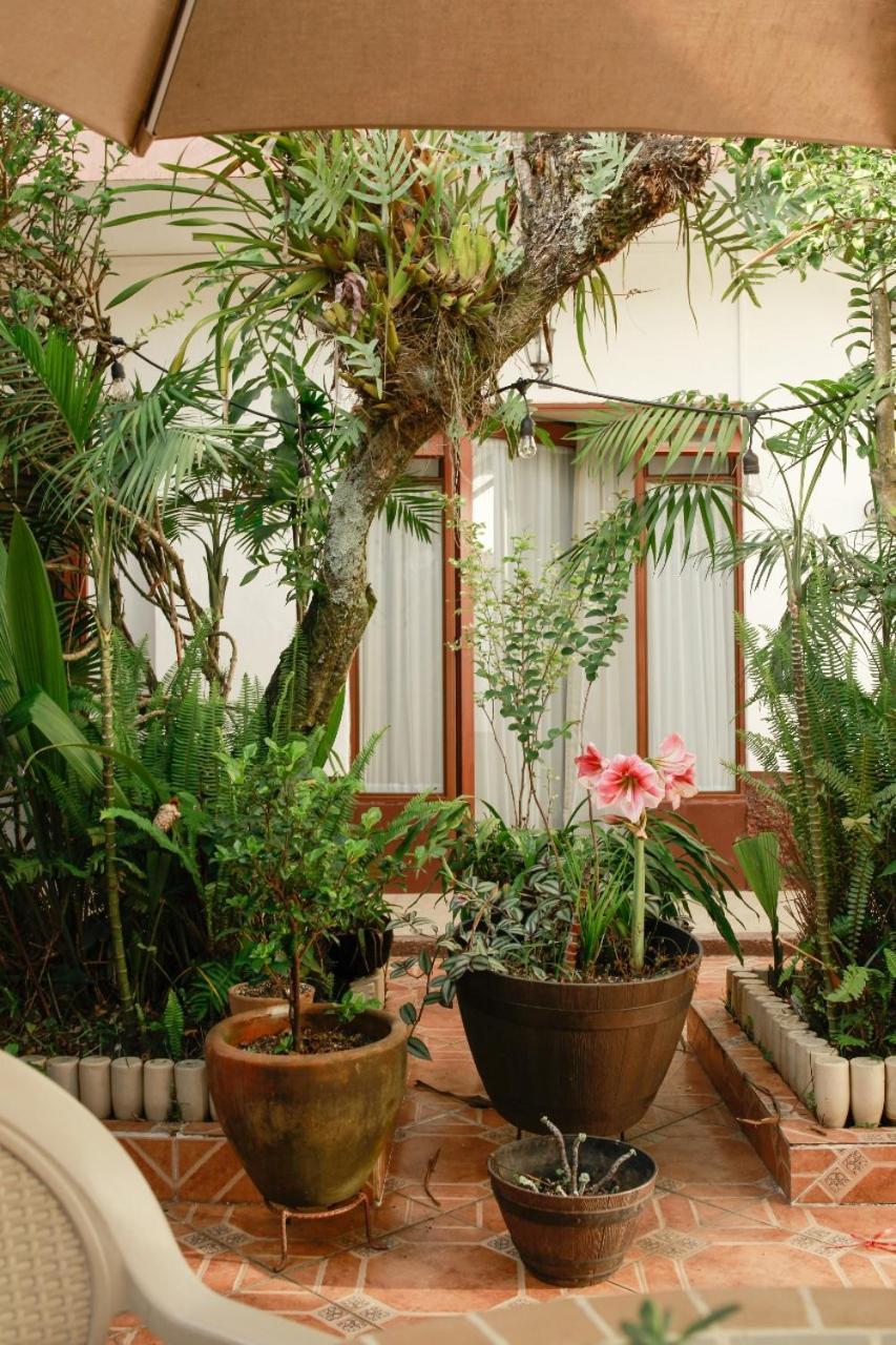 Posada Galeria Alberto Sedas Huatusco Extérieur photo